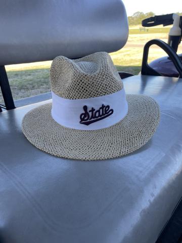 Ahead Straw Fedora State Script